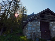 PIZZO VESCOVO (2175 m.) e MONTE BRATE (1932 m.) con giro ad anello da Foppolo il 7 giugno 2013  - FOTOGALLERY